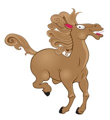 Wild horse isolated on white background