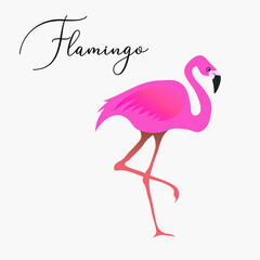 Vector pink flamingo isolated on white background. Summer tropical design. Perfect for greeting cards, posters, textile and seasonal design. EPS 10