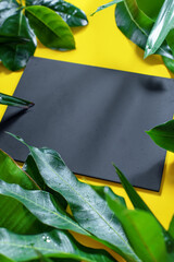 Mock up wooden chalkboard with tropical leaves