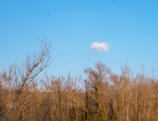 Paisaje otoñal con cielo azul y nube