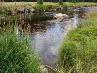 Obraz premium Mountain stream, with granite boulders and sharp mountain grass on the shore.