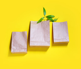 Craft paper bag with new green natural leaf yellow