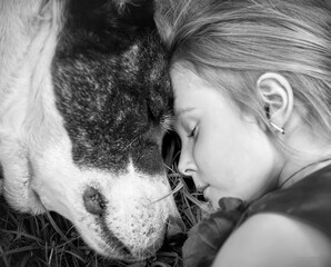 Love and friendship of a little girl with a dog Alabai breed
