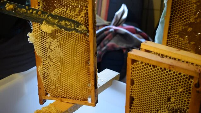 Apicoltura ft0205_0670 Mehil&auml;ishoito Pčelarstvo Byeboerdery Beekeeping 蜜蜂養殖 Pszczelarstwo تربية النحل