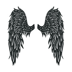 Angel's wings isolated on white. Vector illustration.