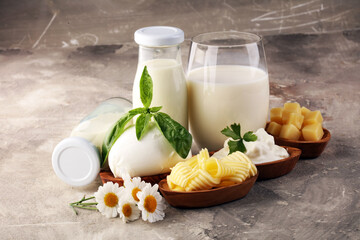 milk products. tasty healthy dairy products on a table on. mozzarella in a bowl, cottage cheese...