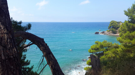blue and green water of Adriatic sea and green pines in Montenegro at summer