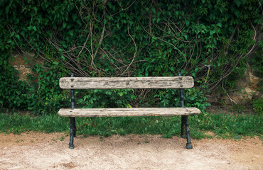 Vintage wooden bench in the park