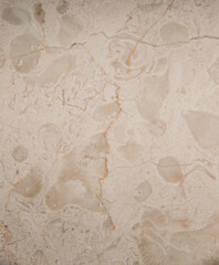 Obraz premium Beige marble with dark veins.