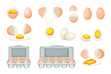 Collection of differetn types of eggs isolated on white. Vector illustration.