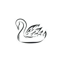 Swan silhouette for t-shirts isolated on white. Vector illustration.