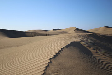 Dunes of Maspalomas in Gran Canaria island