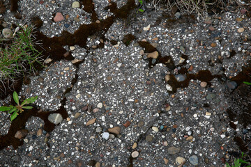 Texture of old asphalt with cracks, moss, stones and twigs