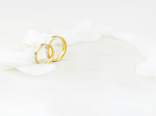 Close-up Wedding rings and white petals