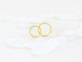 Close-up Wedding rings and white petals