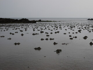 Plage de l'atlantique à marée basse