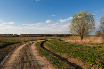 The road to the village, countryside