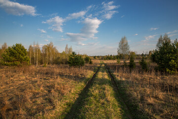 Fototapeta na wymiar The road into the field, countryside. Spring, bright day