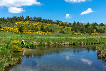 Fototapeta premium Une femme sur le bord d'une rivière en montagne