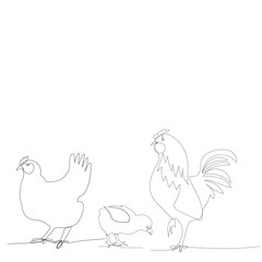 Fototapeta na wymiar continuous line drawing of chickens and chicken, rooster