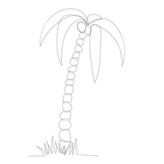 continuous line drawing of a palm tree