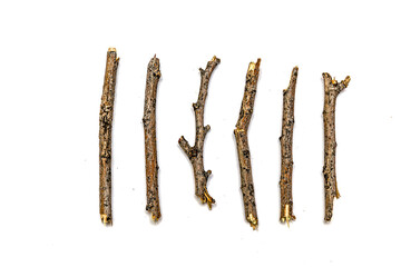 Macro of dry branches on a white background in high resolution.