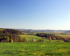Fototapeta na wymiar Spring landscape in sunny day. Rural countryside.