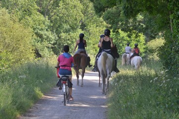 horses and bike, Bretagne, France