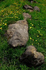 stone path in the park
