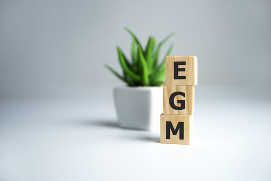 EGM Extraordinary General Meeting Acronym On Wooden Cubes On Dark Wooden Backround. Business Concept.