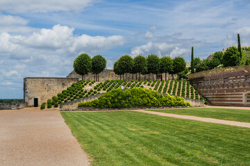 Fototapeta premium Amazing ornamental garden near Chateau d'Amboise (late 15th century). Amboise, Indre-et-Loire, Loire Valley, France.
