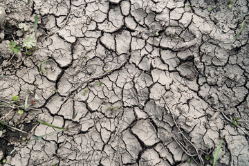 Drought, the ground cracks, no  water, lack of moisture. Dried and cracked ground, cracked surface, dry soil in arid areas.