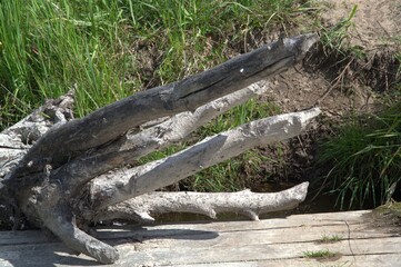 Obraz premium nature_034