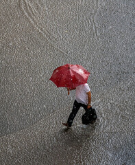 businessman in a very heavy rain walks down the street. is holding bag and red umbrella in hand. 