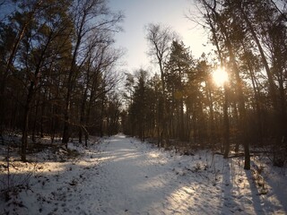 This stock photo is from a nature reserve in Hilversum, Netherlands with sun and snow during winter time!