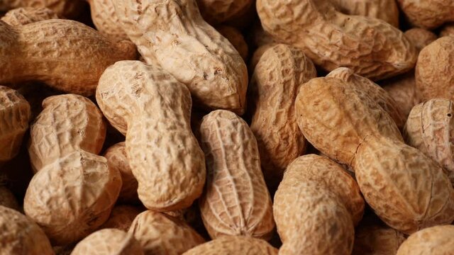 uncleaned inshell peanuts roataiting