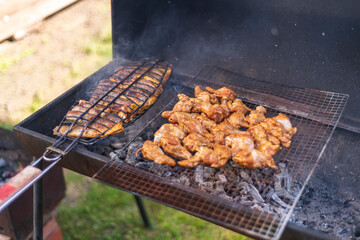 Assorted delicious grilled meat with vegetables over the coals on a barbecue