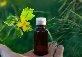 Celandine Extract - flower and bottle.