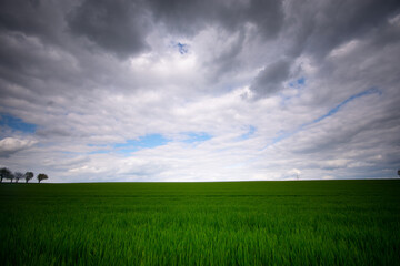 Obraz premium Grünes Feld mit einem dramatischem Himmel