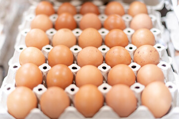 Full fresh eggs of paper tray from hen farm in the package that preserved for sale in wholesale and retail market.