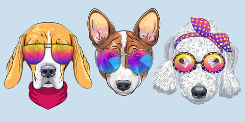 Set of hipster dogs in trendy multicolored mirror sunglasses and bow ties, Beagle, Basenji and Bedlington Terrier breed