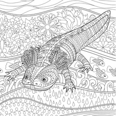 Coloring page for adults with axolotl and complex background in zentangle style  - 354752824