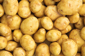 full frame background with lots of potatoes