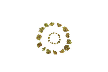 Green dried cannabis buds arranged in circles isolated on white background