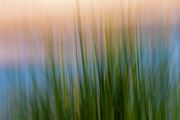 Abstract photograph with panning for background with texture
