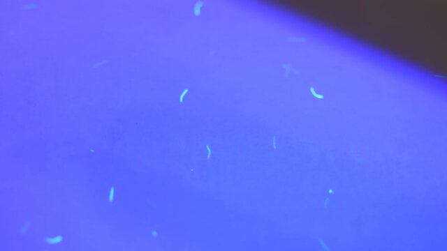 Security features on banking paper revealed by UV light showing markings