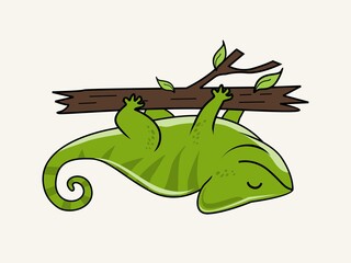 Chameleon Cartoon Isolated Animals