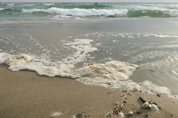 Polluted sea foam,chemical waste discharge on ocean ecosystem,water pollution