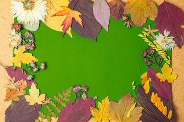 Back to school concept. Autumn frame of dry leaves. Copy space.