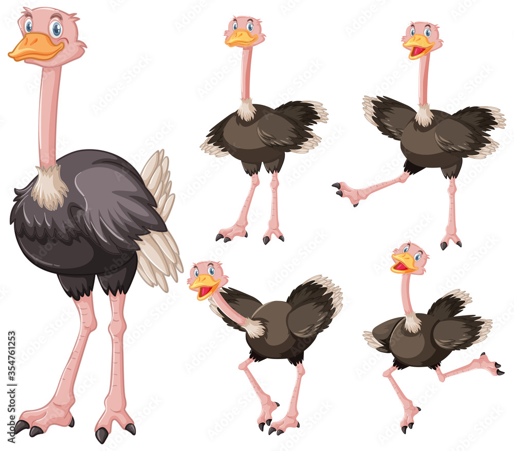 Wall mural Set of cute ostrich cartoon character